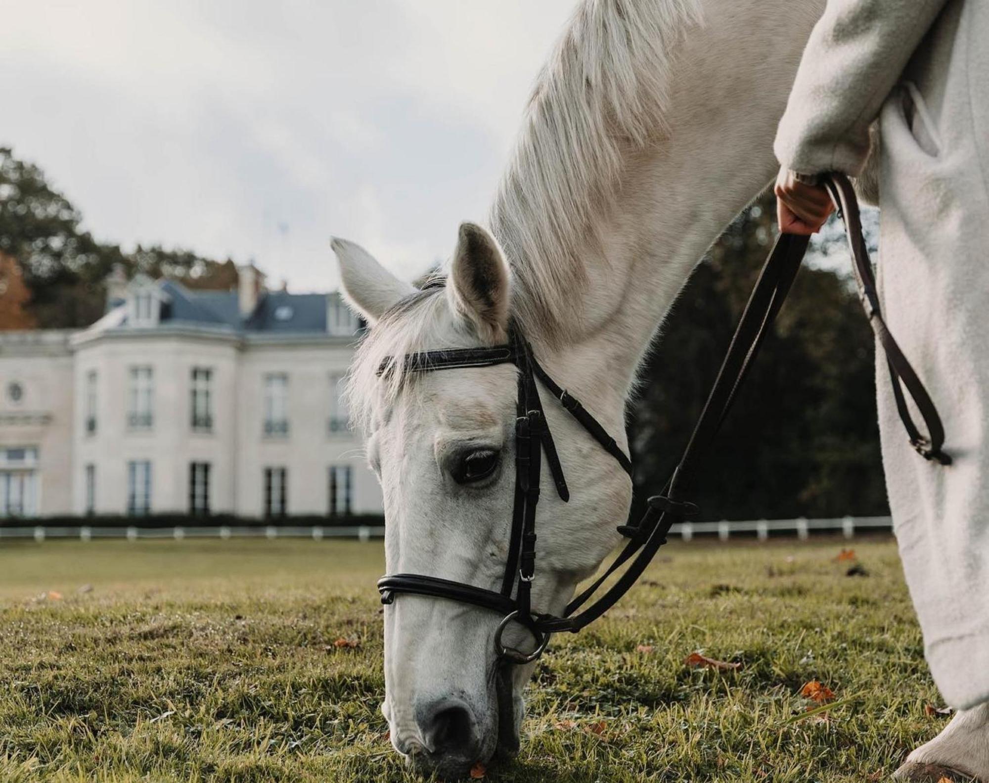Hotel Demeures De Campagne Domaine De Maffliers - Paris Val-D'Oise Εξωτερικό φωτογραφία